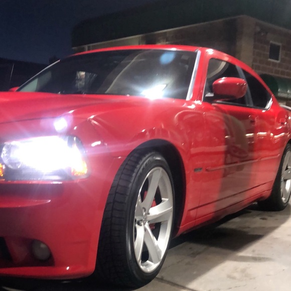 Meet your Posher, Matthew - Picture 1 of 1